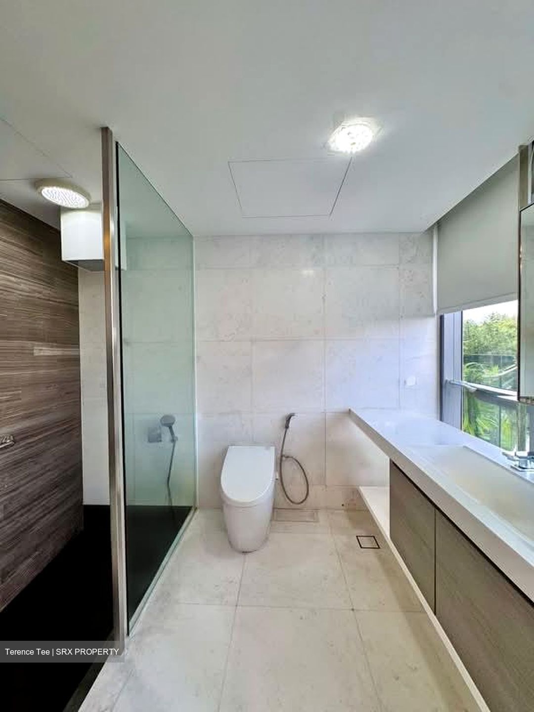 SilverSea (D15), Condominium #592050771